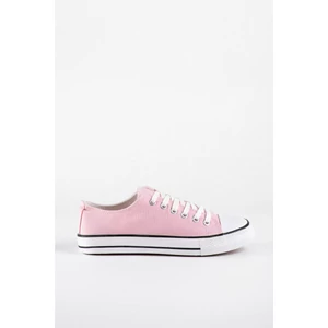 VILÁGOSRÓZSASZIN VILÁGOSRÓZSASZIN